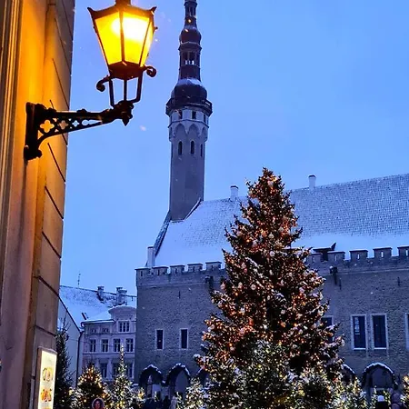 Cozy In Old Town
